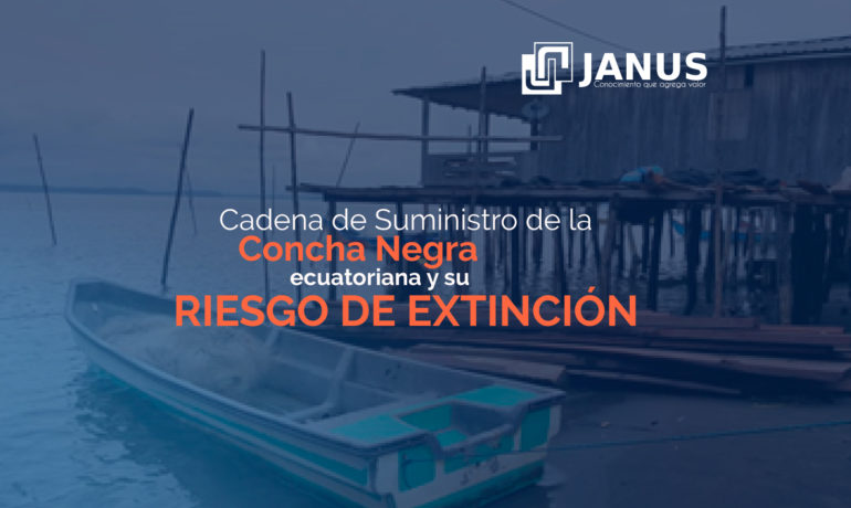 Cadena de Suministro de la Concha Negra ecuatoriana y su riesgo de extinción