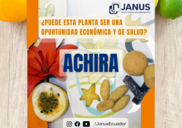 LA ACHIRA ¿Puede esta planta ser una oportunidad económica y de salud?