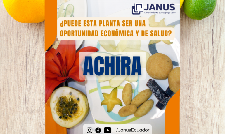 LA ACHIRA ¿Puede esta planta ser una oportunidad económica y de salud?