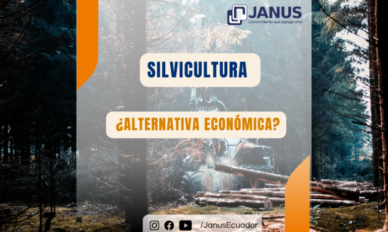 SILVICULTURA ¿ALTERNATIVA ECONÓMICA?