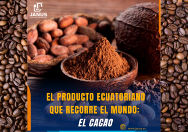 Producción cacao